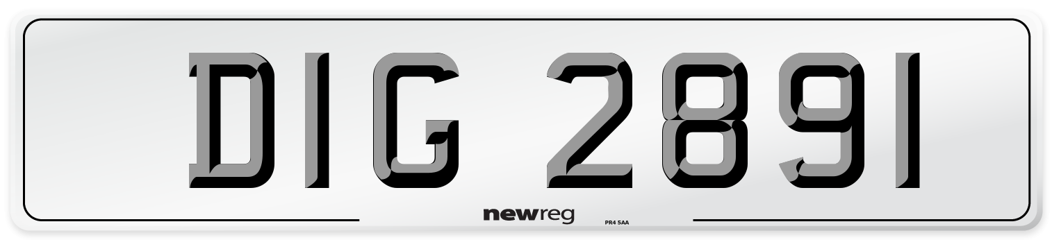 DIG 2891 Number Plate from New Reg